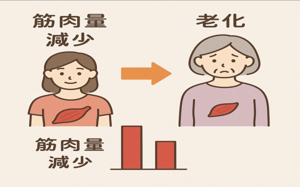 【アンチエイジング効果】  筋トレと老化の関係を紹介💪✨