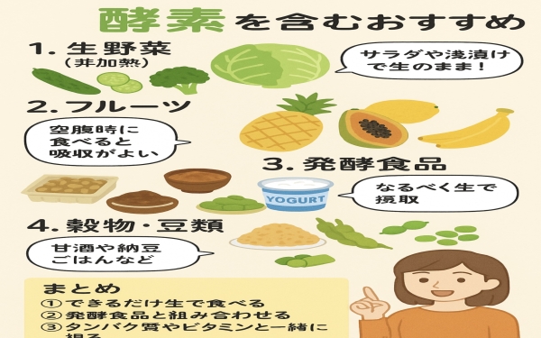 【初心者向け】酵素とは？働き・種類・ダイエットや美容への効果をわかりやすく解説！